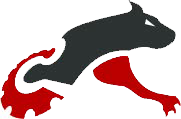 Motokoer logo