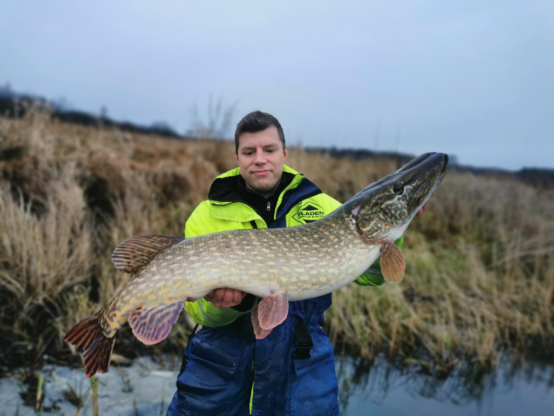 Jarko, kalagiid